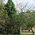 20131026_142520