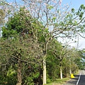 20131026_142549