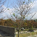 20131026_144512