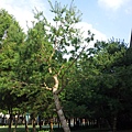 20131026_144811