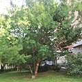 20131026_144828