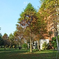 20131026_151618