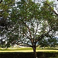 20131026_151829