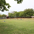 IMG_7687