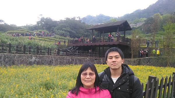 貓空樟樹步道魯冰花漫遊_6336.jpg