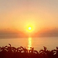 20160823_4843.jpg