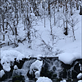 F741F4D9-ED97-4969-A7D7-CD4C6A60CC57.png