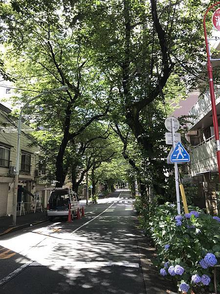 【2019東京自由行】Day2谷中銀座商店街、津根神社