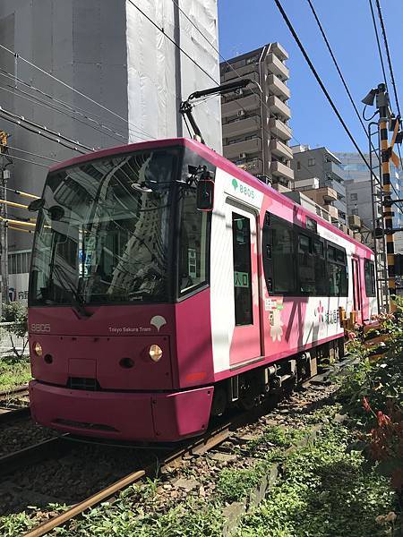 【2019東京自由行】Day2谷中銀座商店街、津根神社