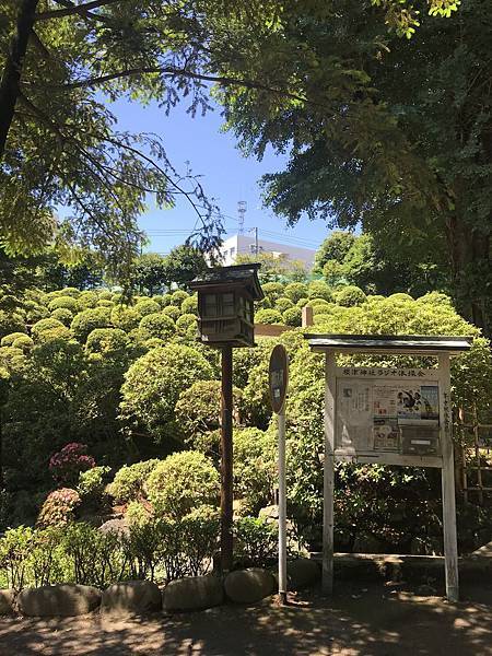 【2019東京自由行】Day2谷中銀座商店街、津根神社