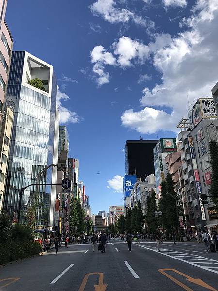 【2019東京自由行】Day2龜有、上野阿美橫町、秋葉原