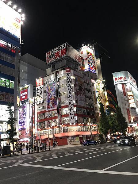 【2019東京自由行】Day2龜有、上野阿美橫町、秋葉原