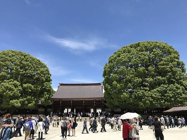 【2019東京自由行】Day3明治神宮、竹下通