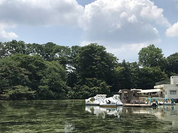 【2019東京自由行】Day5吉祥寺