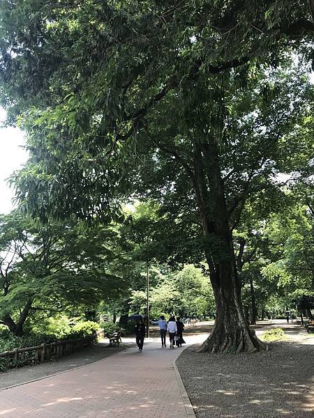 【2019東京自由行】Day5吉祥寺