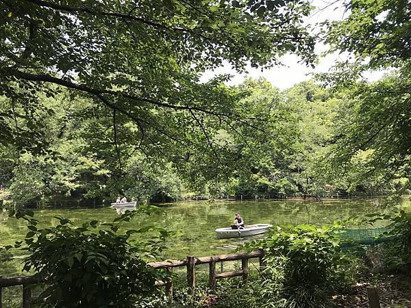 【2019東京自由行】Day5吉祥寺