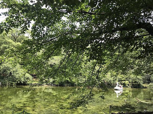 【2019東京自由行】Day5吉祥寺