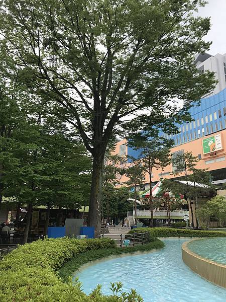 【2019東京自由行】Day7東京巨蛋、上野、秋葉原