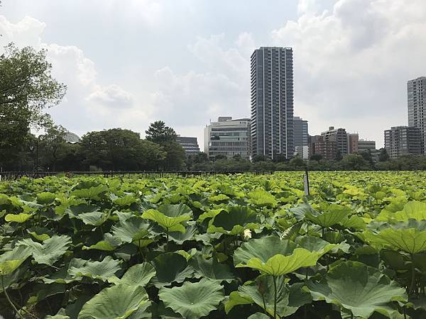 【2019東京自由行】Day7東京巨蛋、上野、秋葉原