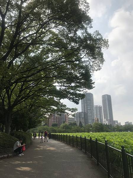 【2019東京自由行】Day7東京巨蛋、上野、秋葉原