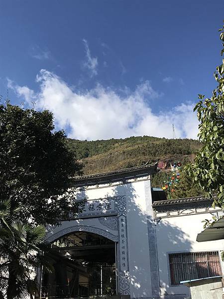 97477BA7-BDF7-42E3-863A-D83C83813729.jpeg 97477BA7-BDF7-42E3-863A-D83C83813729.jpeg