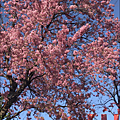 29F19373-10C3-4FFD-B408-15D22A90C5E3.png
