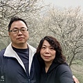 192D4991-47B2-4C17-B9E8-B6DF2B063A9D.jpeg