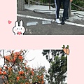 938B4BCD-5058-429D-9EF0-0A2B74C3C0F2.jpeg