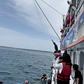 IMG_0084.PNG