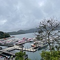IMG_7355.jpg