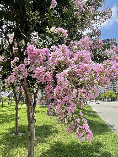 【台中美食】台中美食記錄....