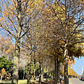 37041b49-d331-4ad9-b362-3d58ec45c957-0.jpg