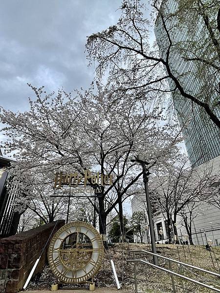 【2023東京自由行】上野恩賜公園、淺草寺＆隅田公園、目黑川