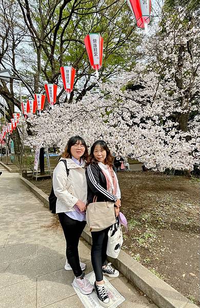 【2023東京自由行】上野恩賜公園、淺草寺＆隅田公園、目黑川