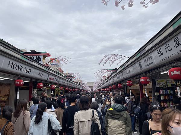 【2023東京自由行】上野恩賜公園、淺草寺＆隅田公園、目黑川