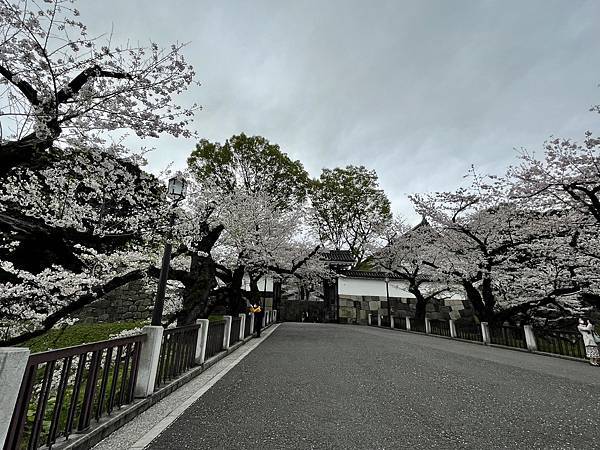 【2023東京自由行】Day4千鳥之淵