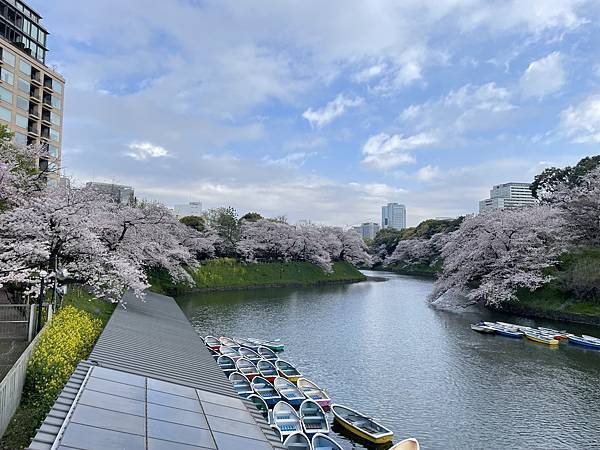 【2023東京自由行】Day4千鳥之淵