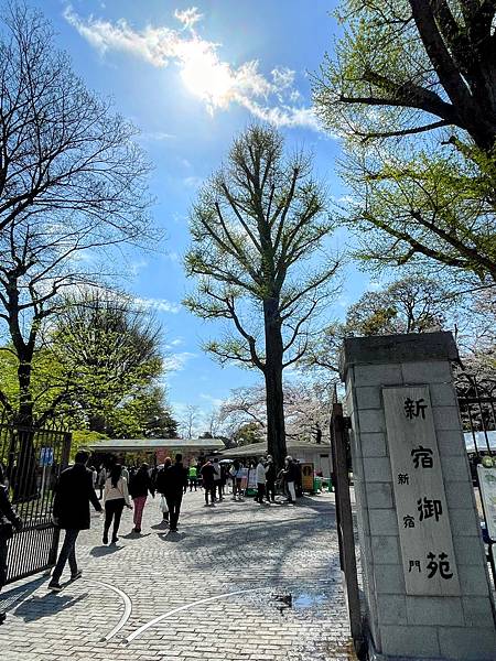 【2023東京自由行】Day4新宿御苑、原宿、藍瓶咖啡、麵處