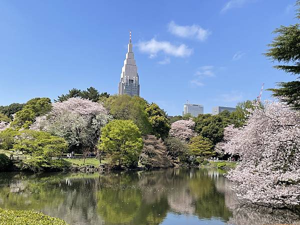 【2023東京自由行】Day4新宿御苑、原宿、藍瓶咖啡、麵處