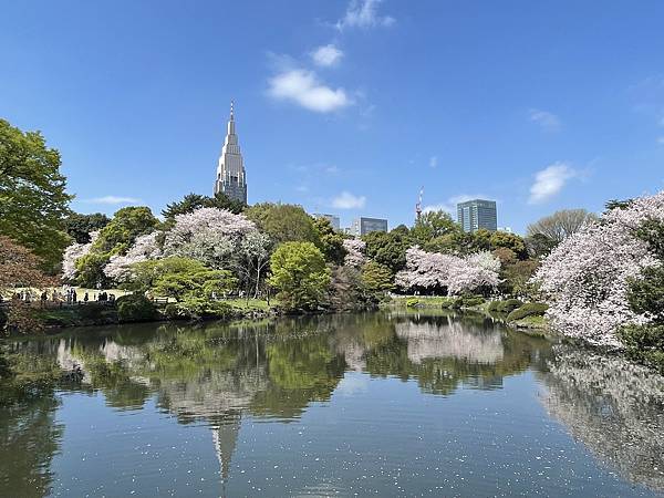 【2023東京自由行】Day4新宿御苑、原宿、藍瓶咖啡、麵處