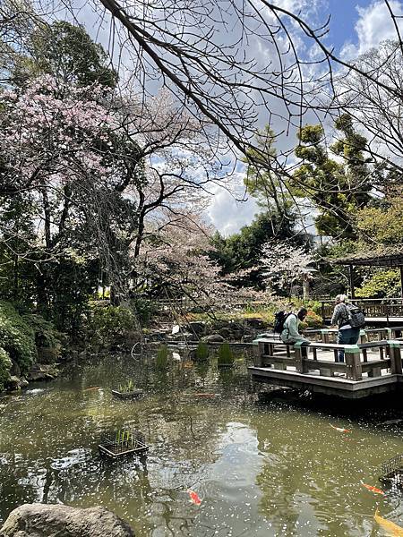 【2023東京自由行】Day4新宿御苑、原宿、藍瓶咖啡、麵處