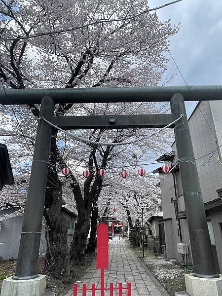 【2023東京自由行】Day7富士山河口湖一日遊