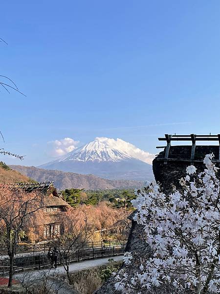 【2023東京自由行】Day7富士山河口湖一日遊