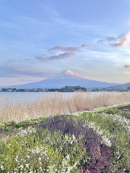 【2023東京自由行】Day7富士山河口湖一日遊