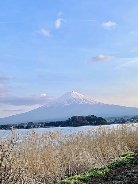 【2023東京自由行】Day7富士山河口湖一日遊