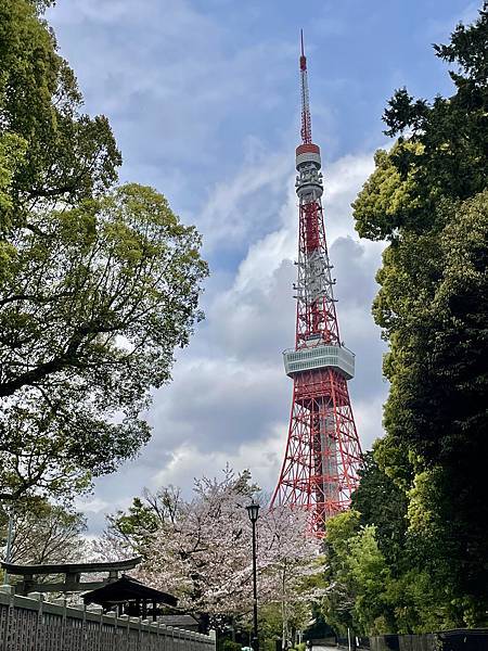 【2023東京自由行】東京鐵塔、六厘舍沾麵、淺草彩夏、無敵家