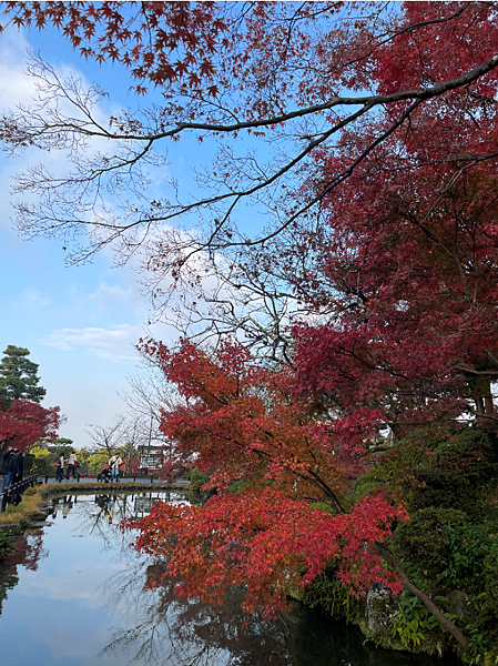 【2023關西自由行】清水寺世界遺產