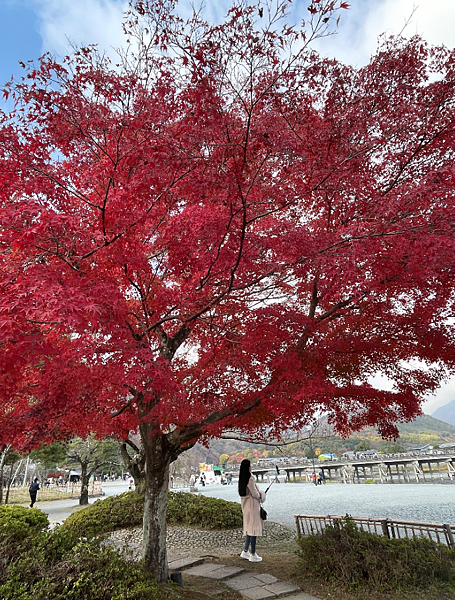 【2023關西自由行】嵐山寶嚴院、天龍寺