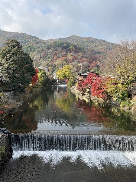 【2023關西自由行】day2嵐山寶嚴院、天龍寺