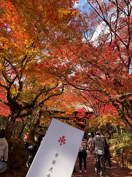 【2023關西自由行】常寂光寺、祐齋亭、祗園小森、一蘭拉麵